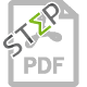 pdf icon100